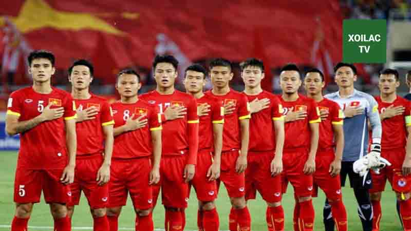 Tổng quan về nền bóng đá của Việt Nam